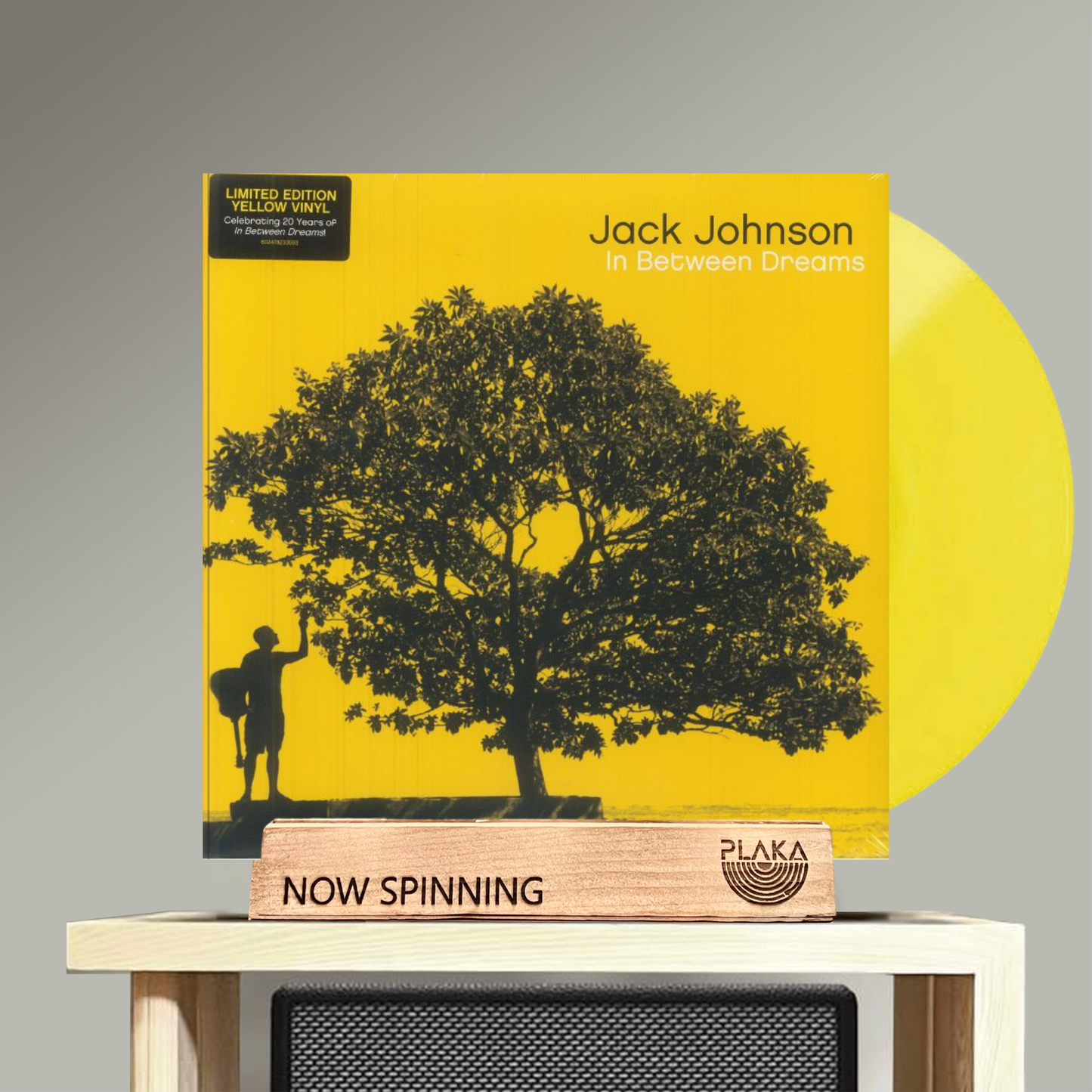 Jack Johnson - In Between Dreams
