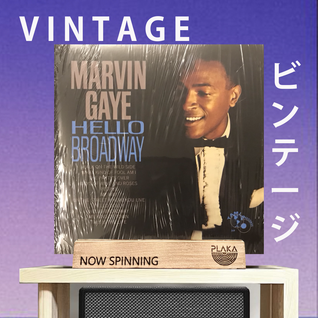 Marvin Gaye - Hello Broadway