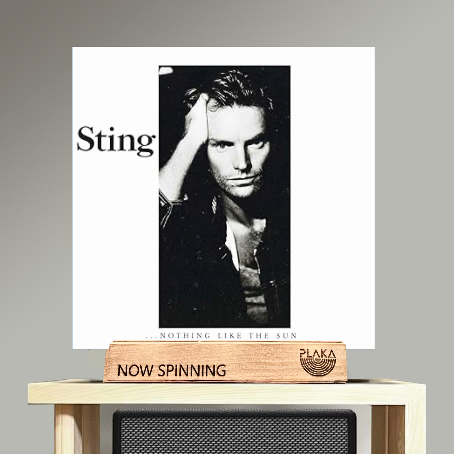 Sting - Nothing Like The Sun