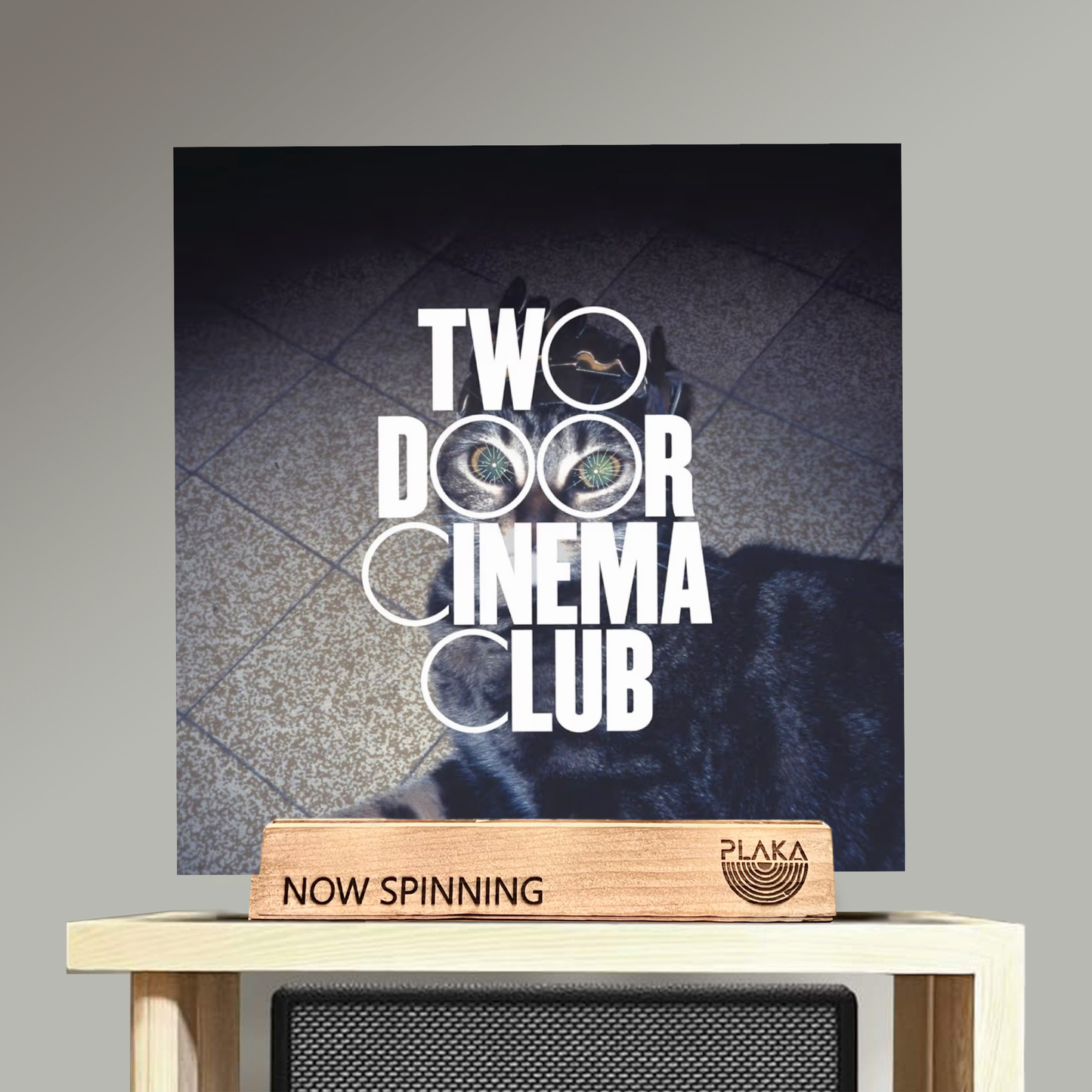 Two Door Cinema Club - Tourist History