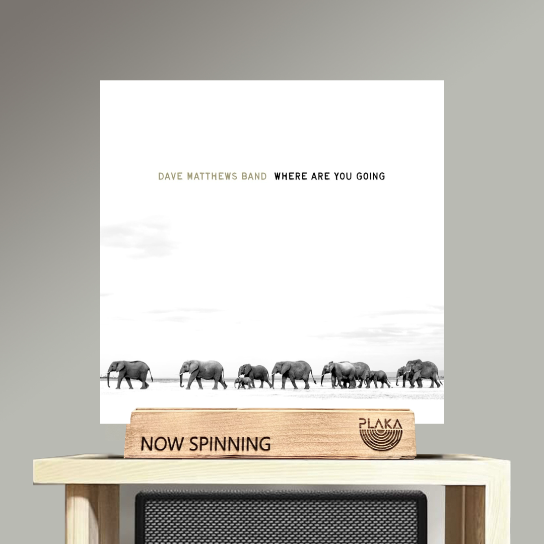 Dave Matthews Band - Where Are You Going : The Singles