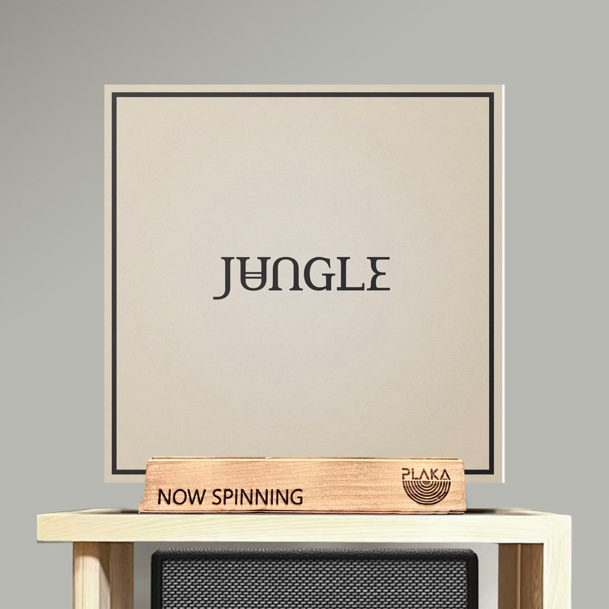 Jungle - Living in Stereo