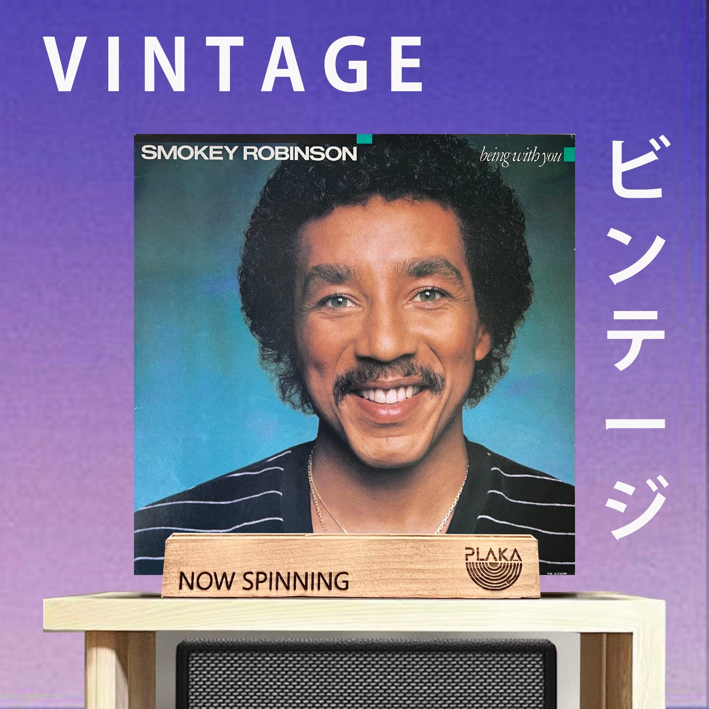 Smokey Robinson - Being With You