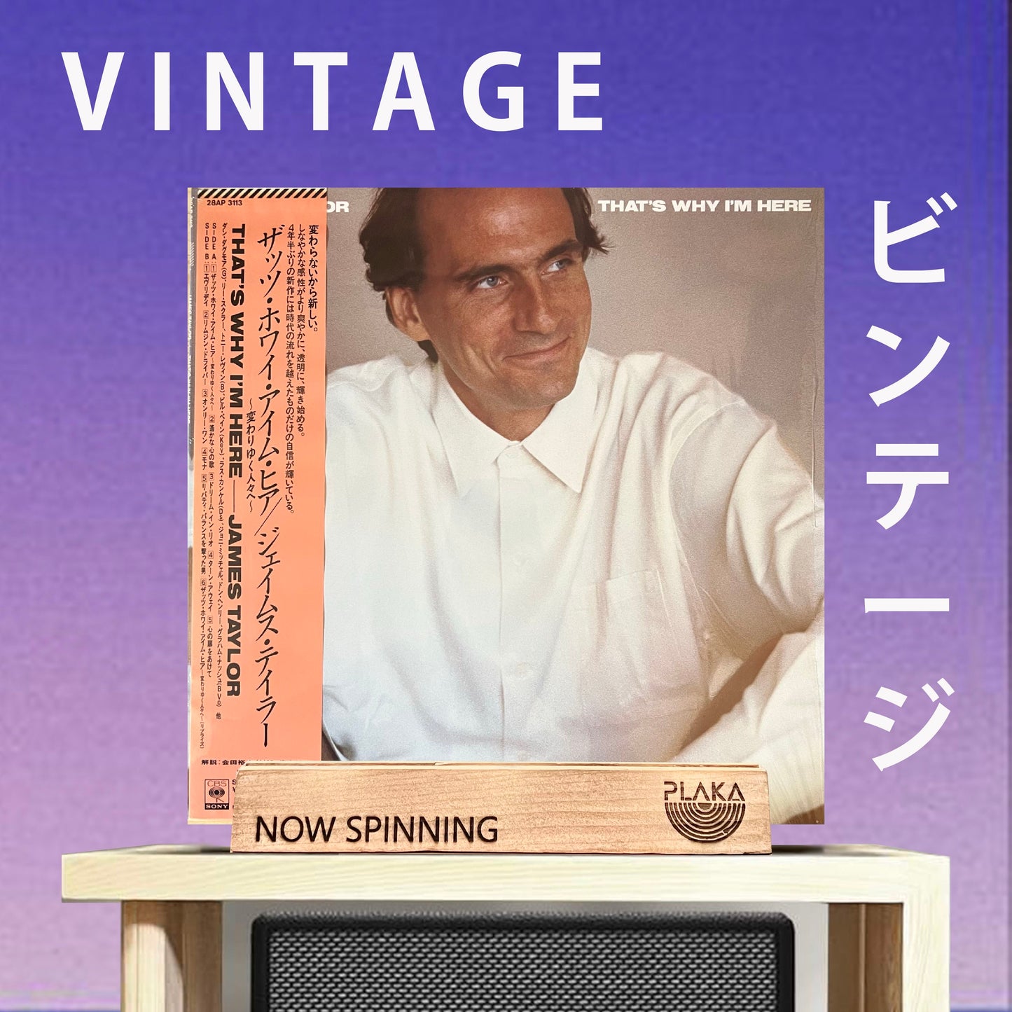 James Taylor - That's Why I'm Here
