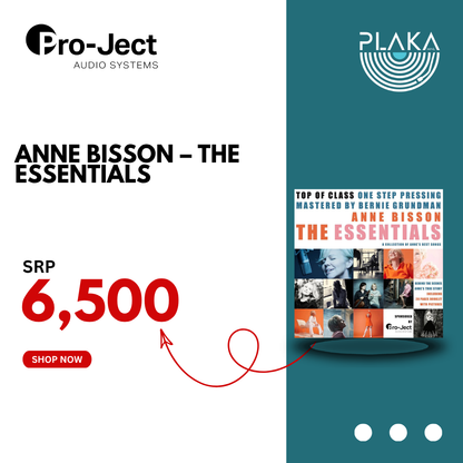 Anne Bisson - The Essentials