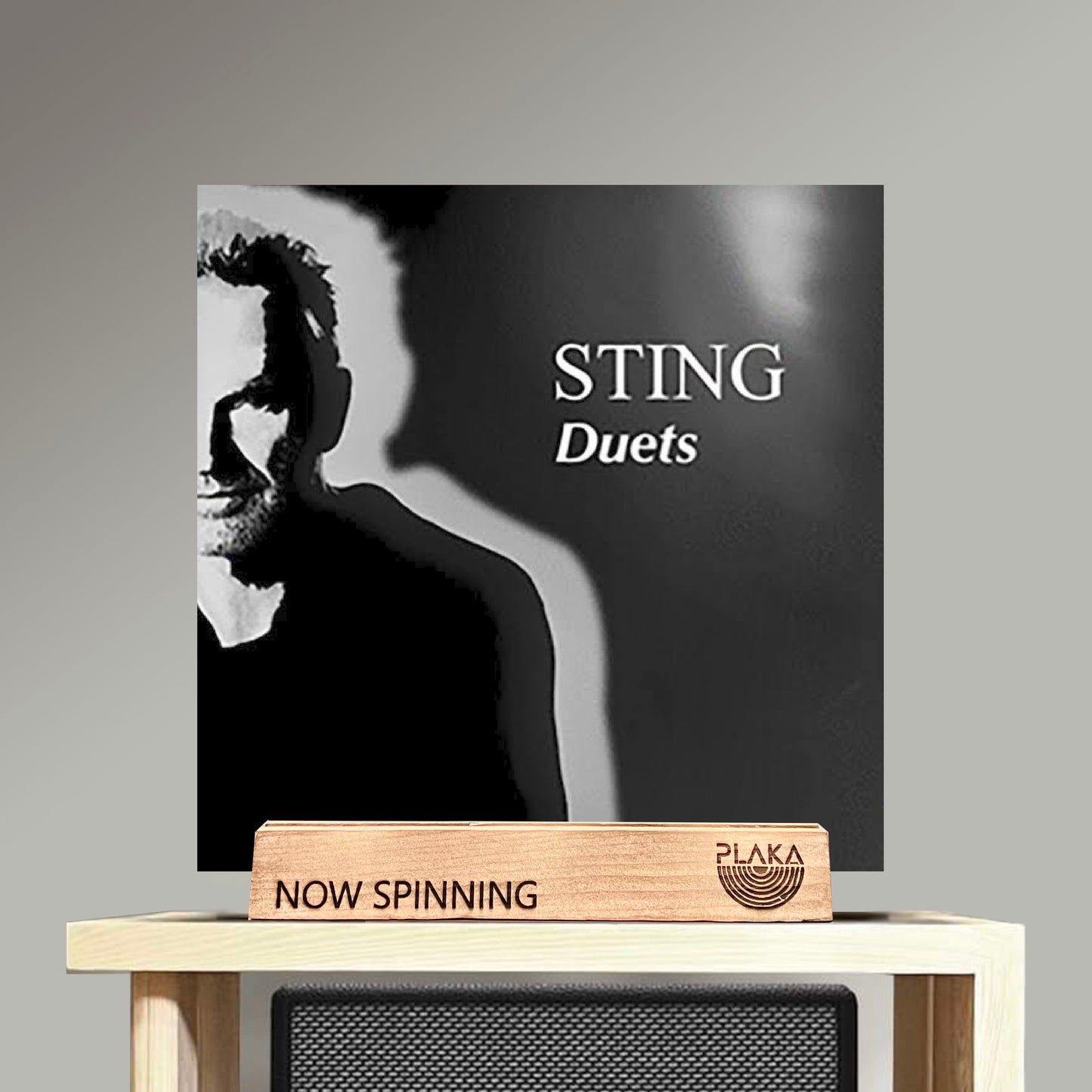 Sting - Duets