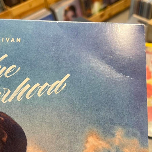 Troye Sivan - Blue Neighborhood