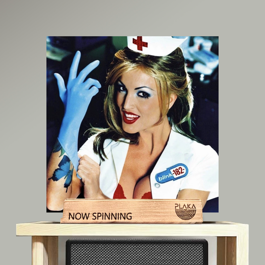Blink 182 - Enema of the State