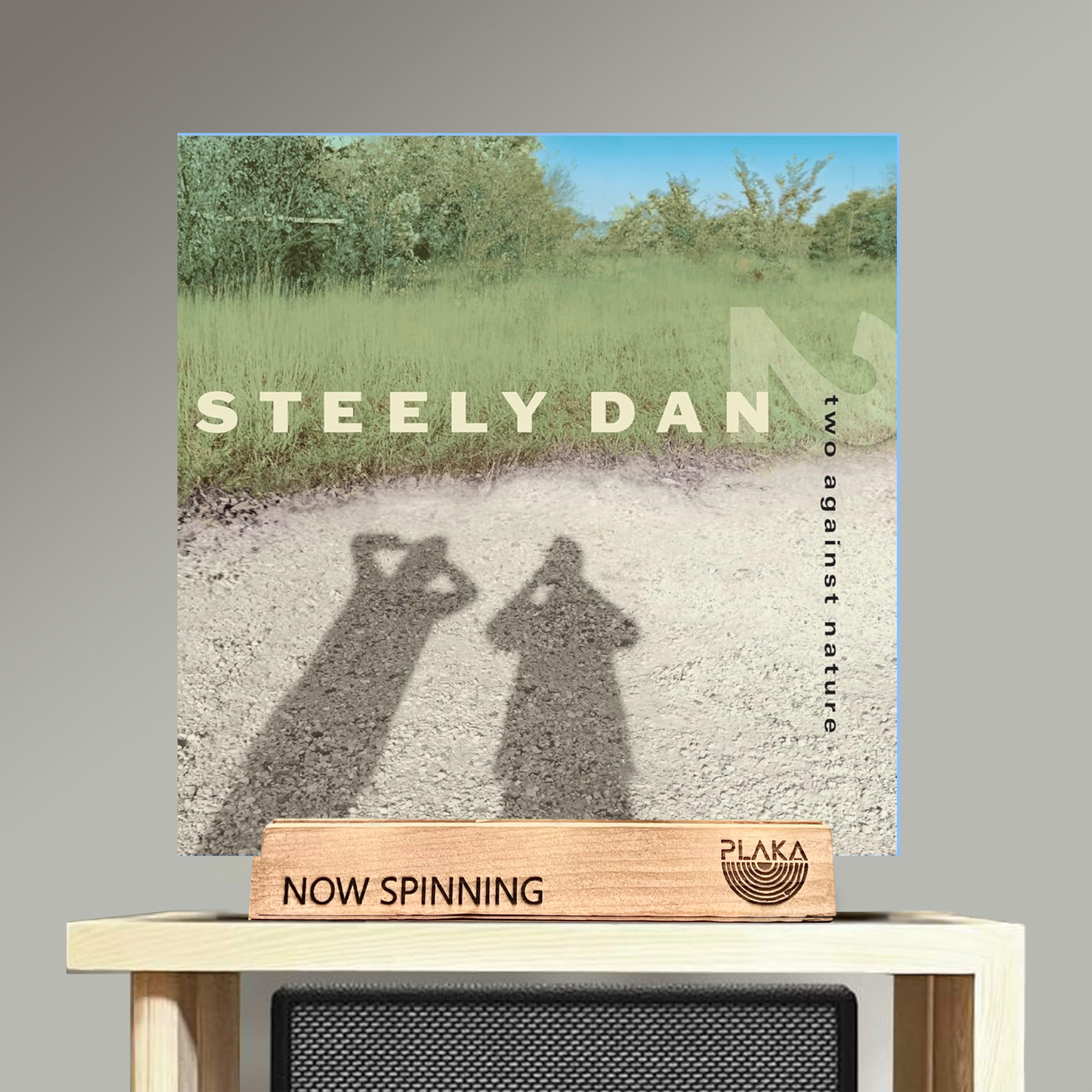 Steely Dan - Two Against Nature