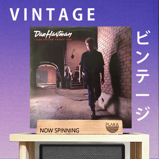 Dan Hartman -  I Can  Dream About You