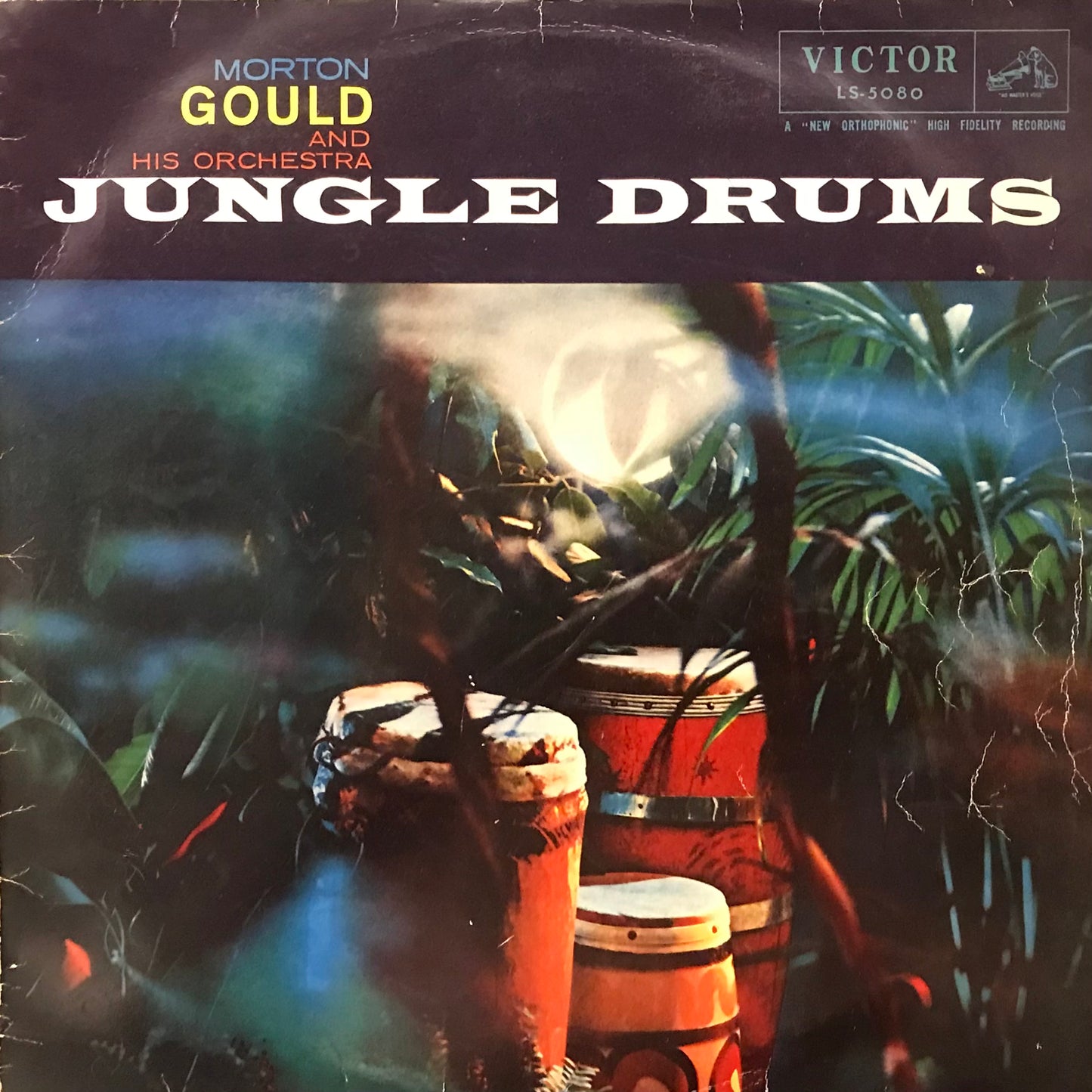 Jungle Drums