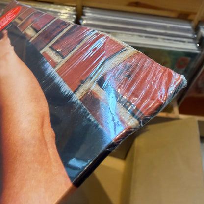 Phoenix - United (RSD)