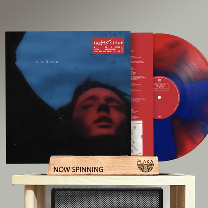 Troye Sivan - In A Dream (5th Anniversary)