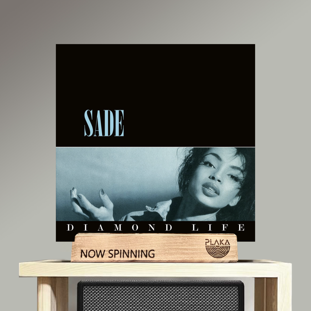 What Is Album Sleeve