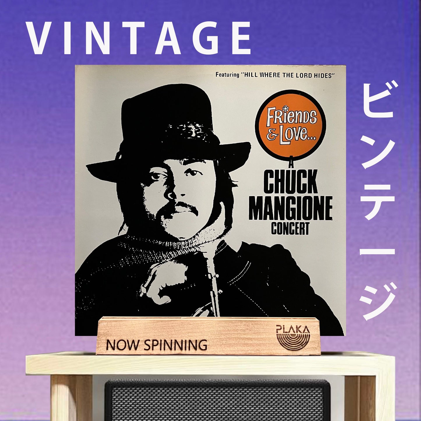 Chuck Mangione - Friends and Love : A Chuck Mangione Concert