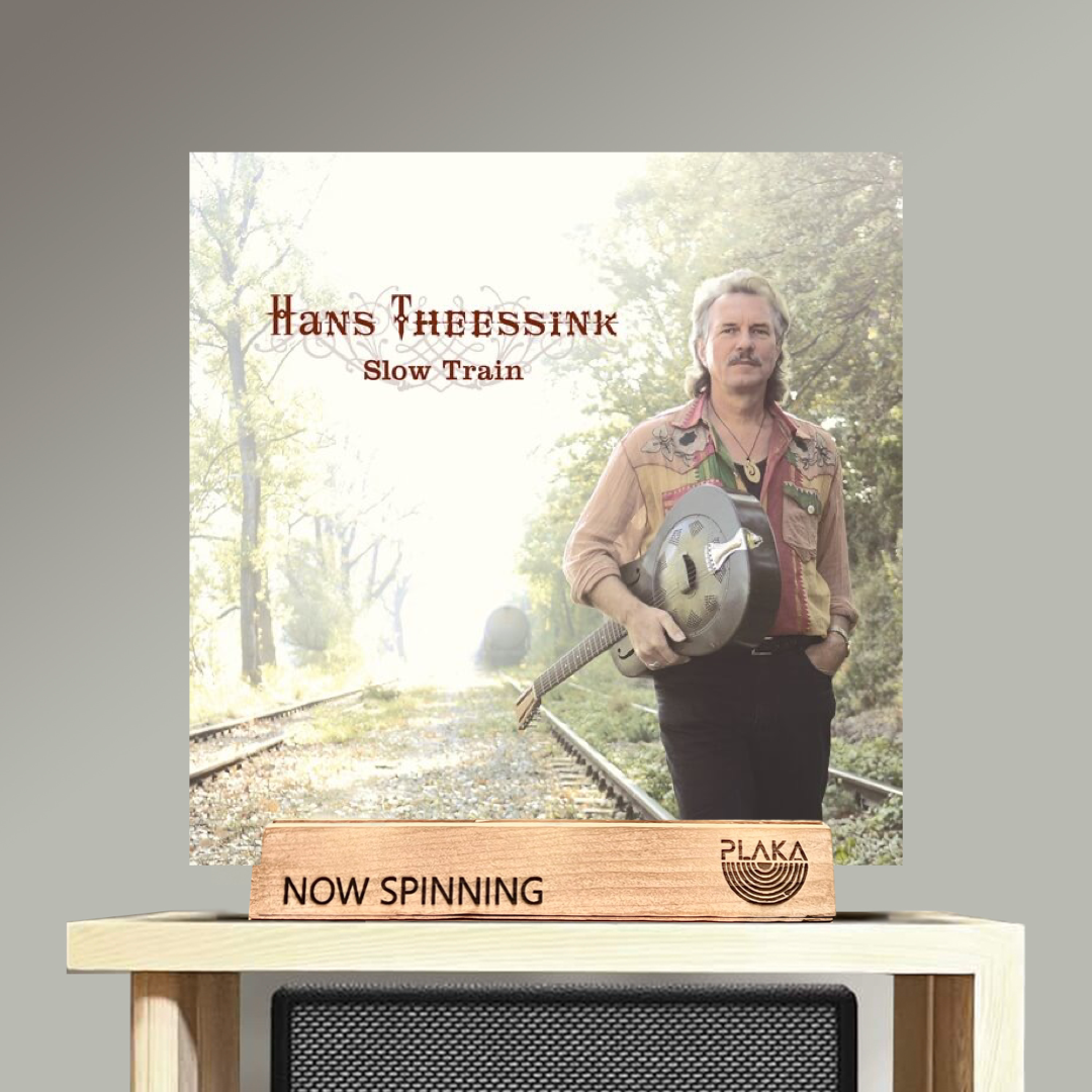 Hans Theesink - Slow Train
