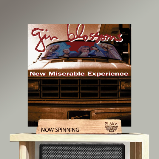 Gin Blossoms - New Miserable Experience