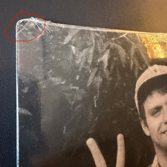 Mac DeMarco - 2