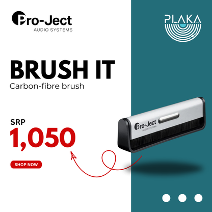 Brush It - Carbon Fiber Brush
