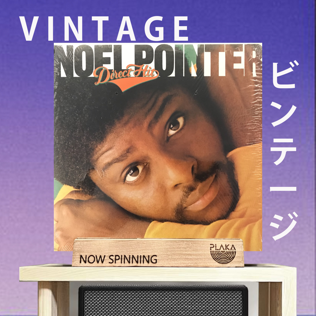 Noel pointer - Direct Hit