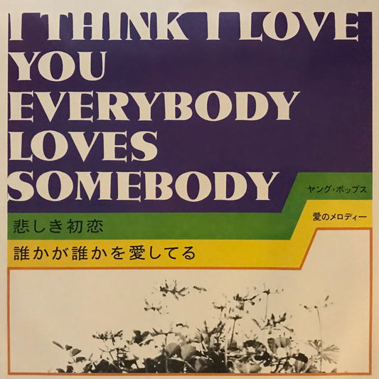 I Think I Love You Everybody Loves Somebody