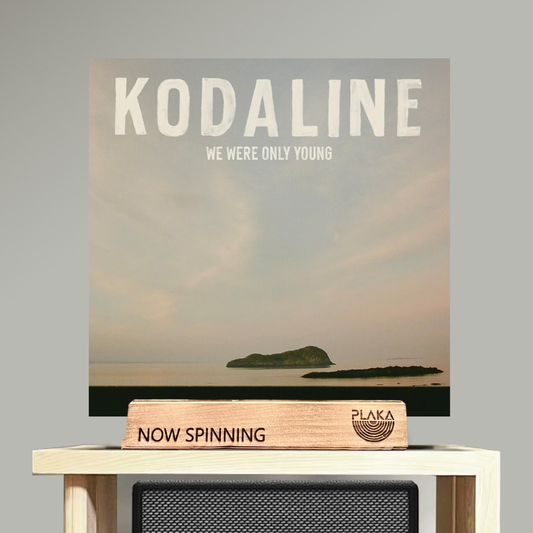 Kodaline - We Were Only Young