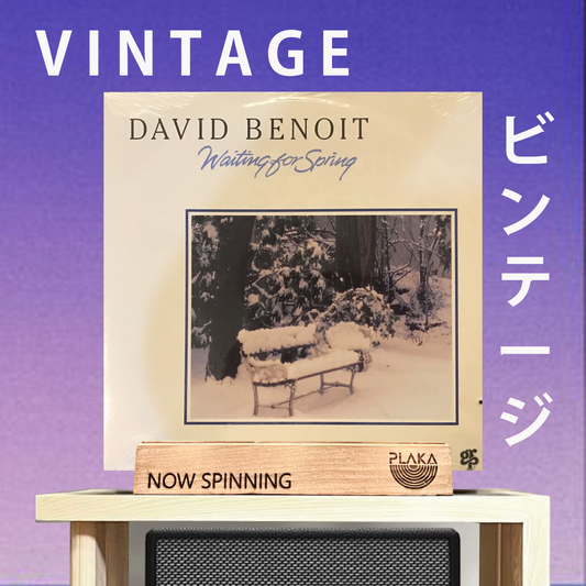 David Benoit - Waiting For Spring