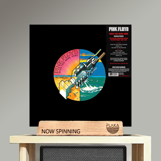 Pink Floyd - Wish You Were Here