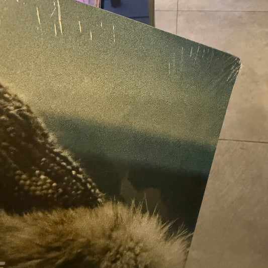 Beyonce - Lemonade