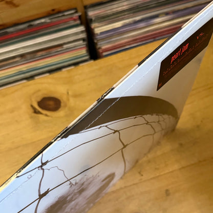 Pearl Jam - Vs. (Audiophile Pressing)