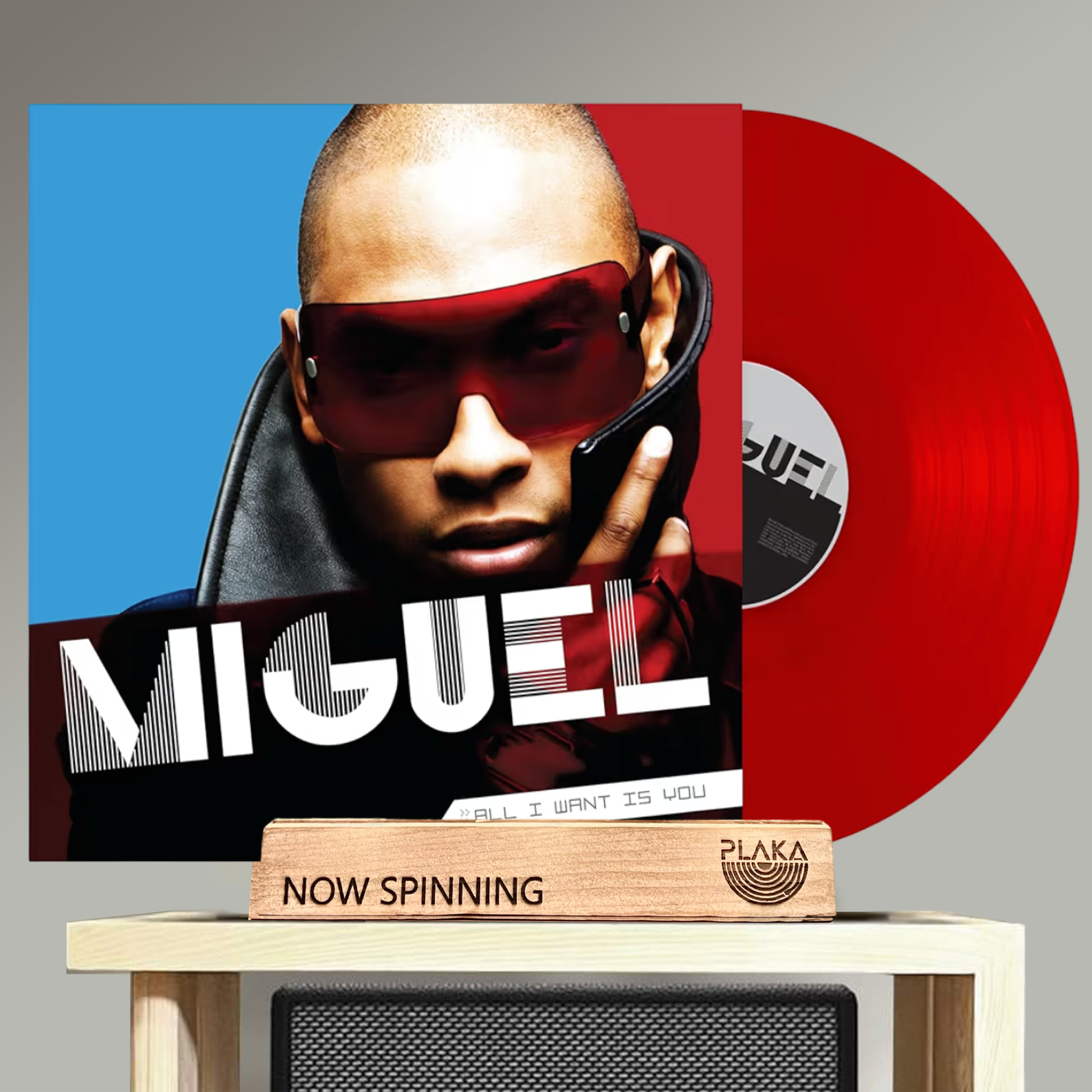 Miguel - All I Want Is You – Plaka.MNL