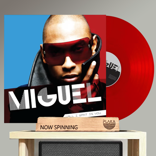 Miguel - All I Want Is You