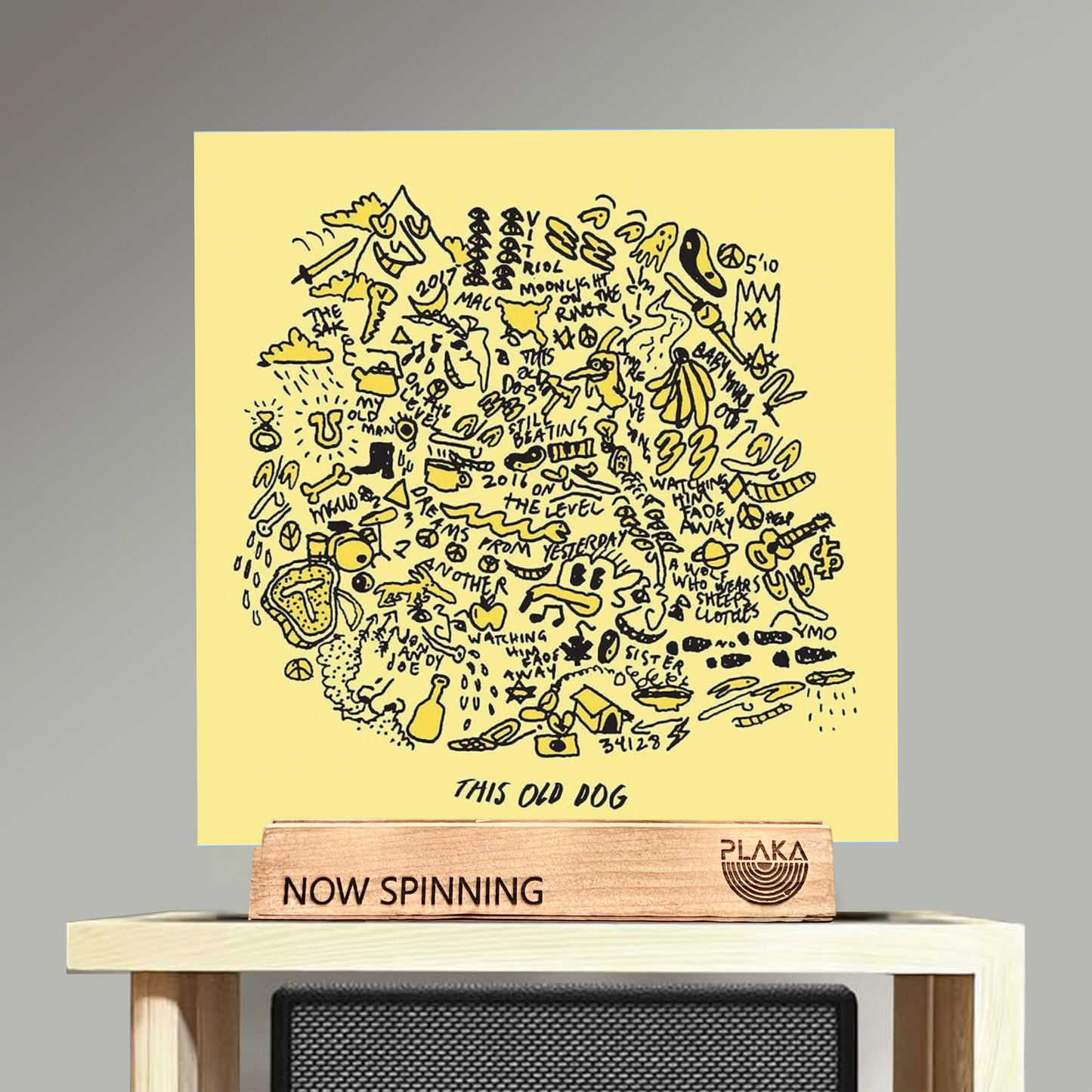 Mac DeMarco - Old Dog