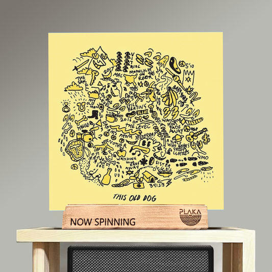 Mac DeMarco - Old Dog