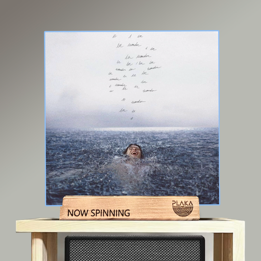 Shawn Mendes - Wonder