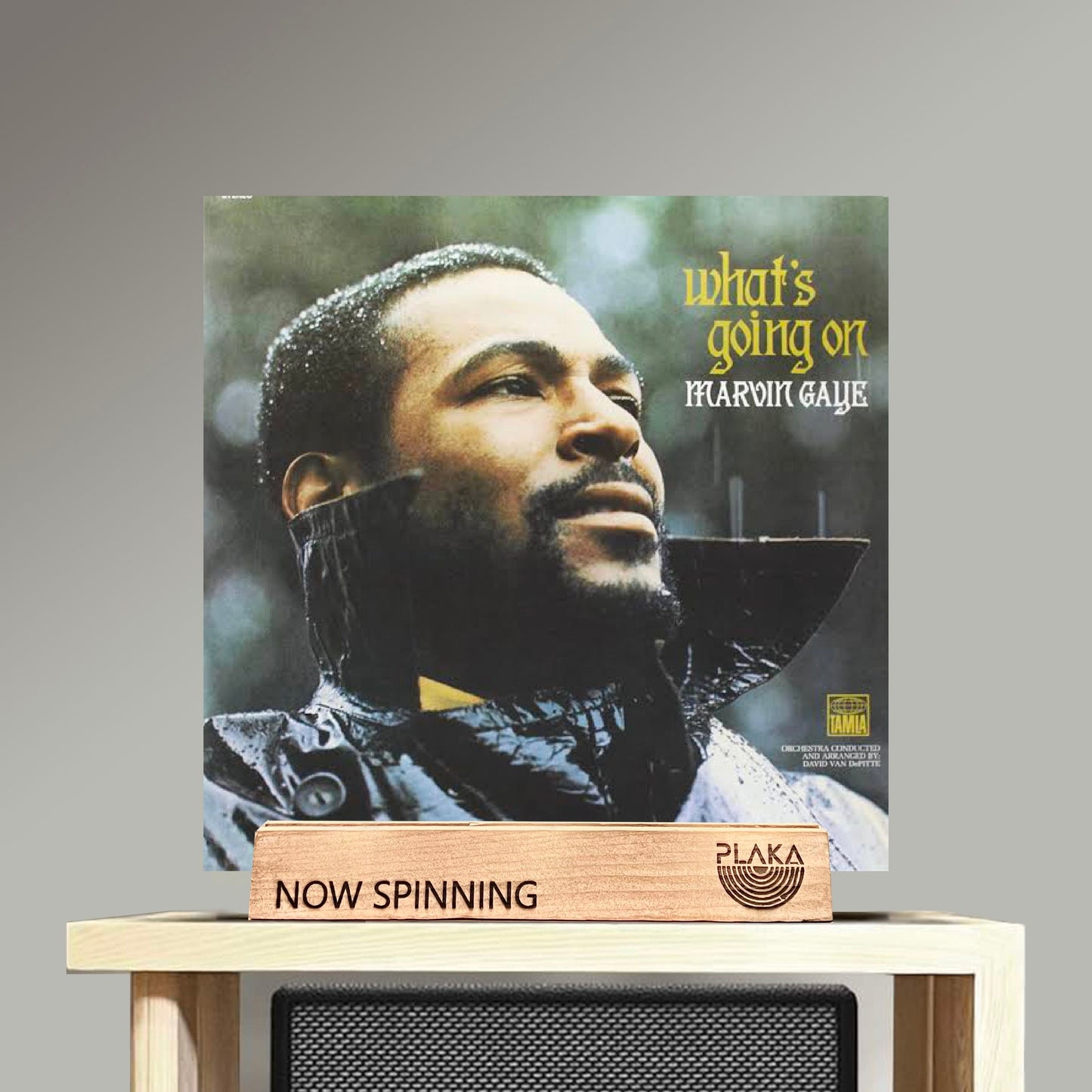 Marvin Gaye - What's Going On (2LP Set)