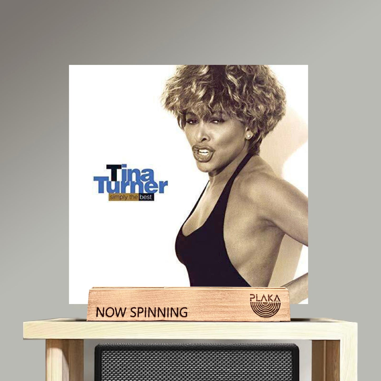 Tina Turner - Simply The Best