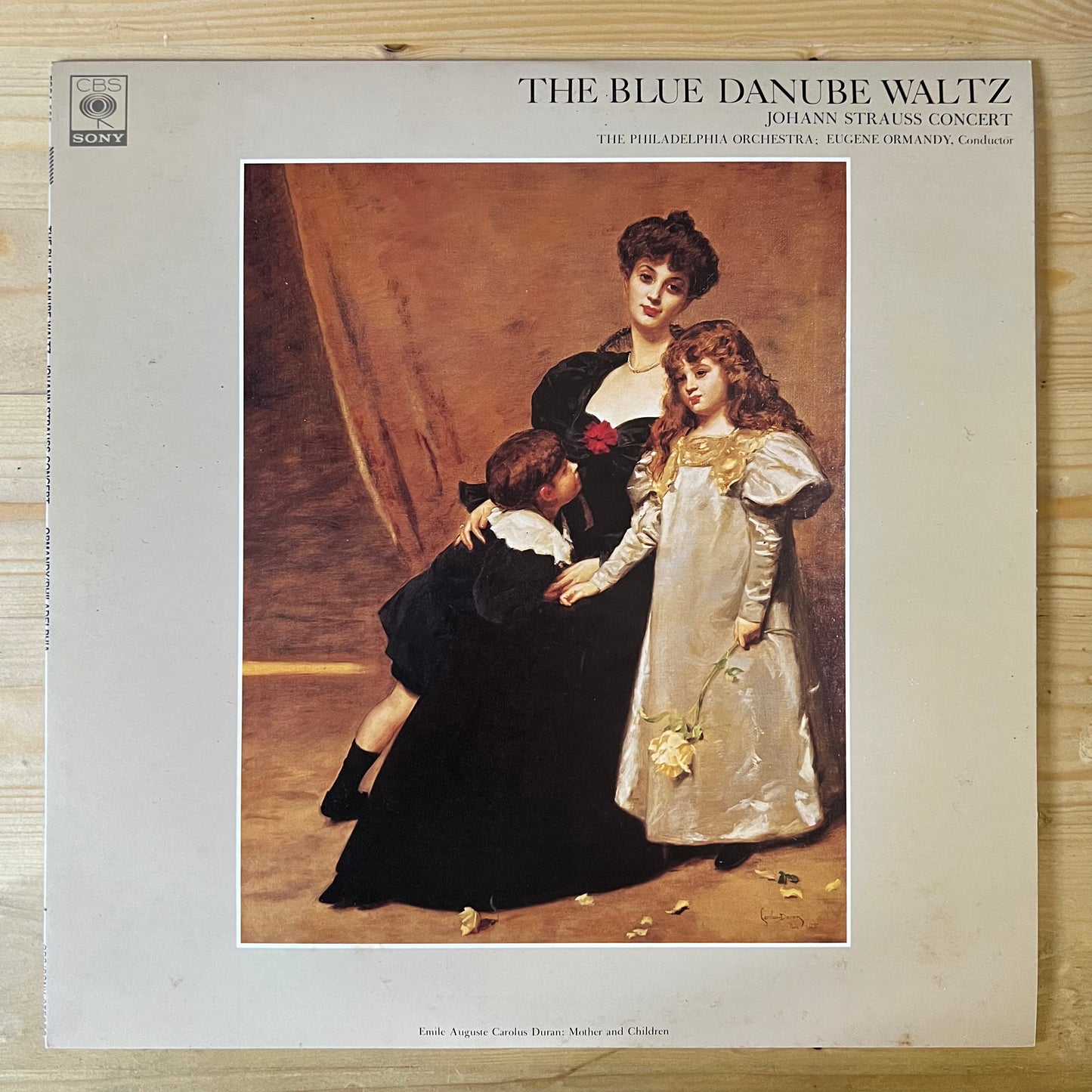 The Blue Danube Waltz : Johann Strauss Concert