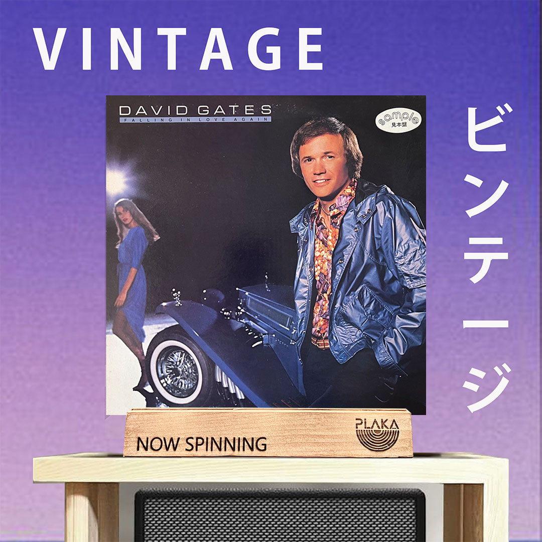 David Gates - Falling in Love Again