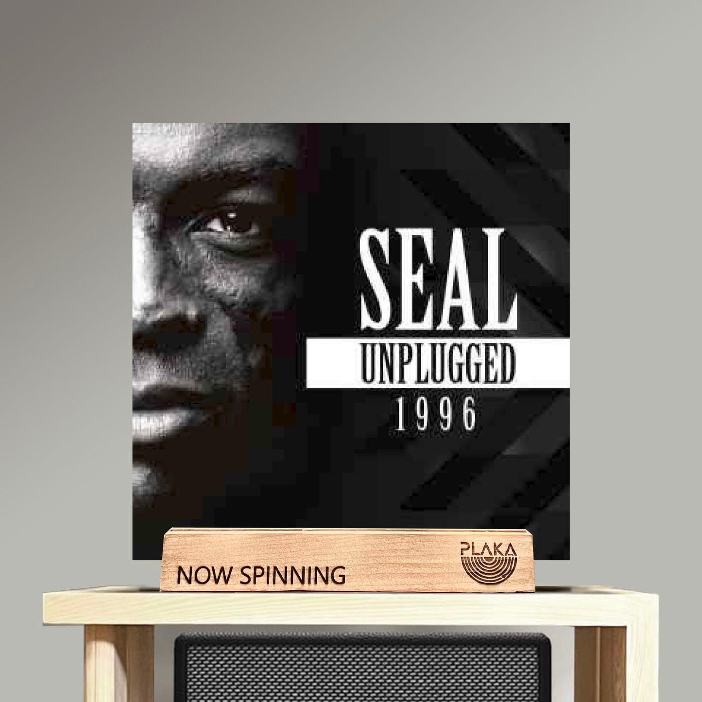 Seal - Unplugged 1999