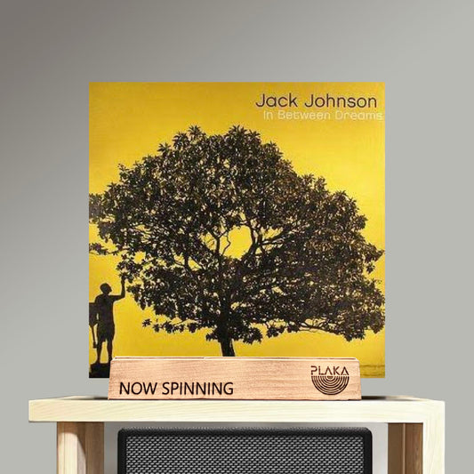 Jack Johnson - In Between Dreams