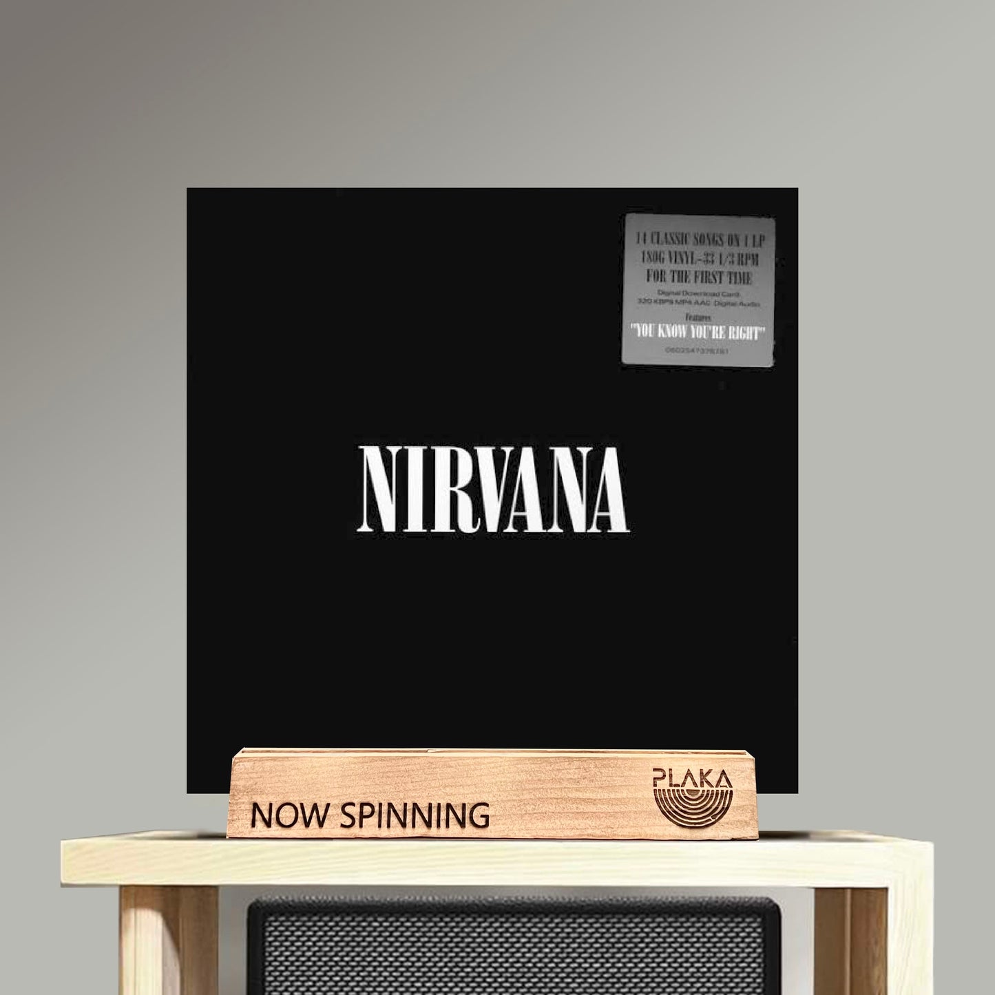 Nirvana : Self-Titled Album