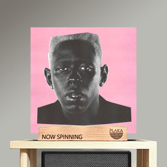 Tyler, the Creator - IGOR