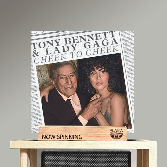 Tony Bennett & Lady Gaga - Cheek to Cheek